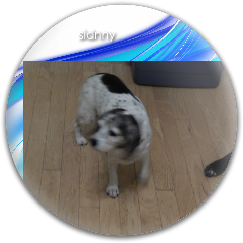 Design 121060 Disc Golf and Ultimate Discs