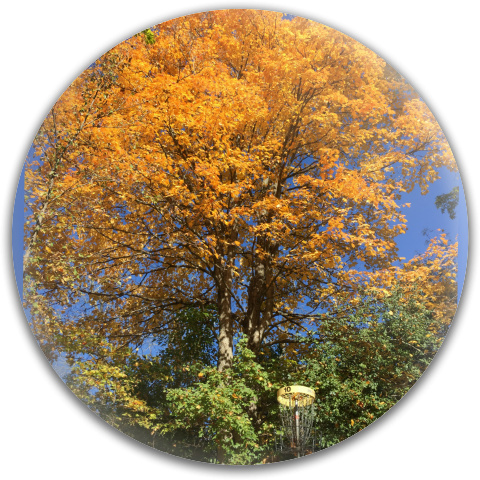 Design 121346 Disc Golf and Ultimate Discs