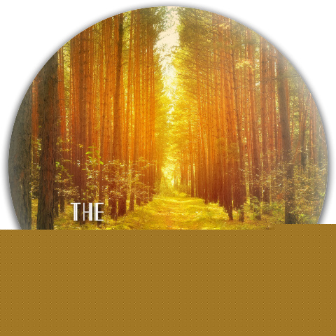 Design 115641 Disc Golf and Ultimate Discs