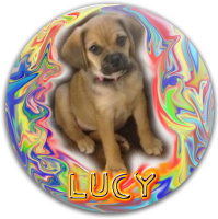 Lucy