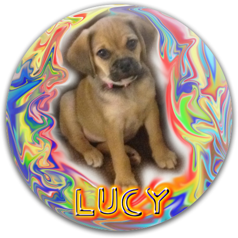 Design 117042 Disc Golf and Ultimate Discs