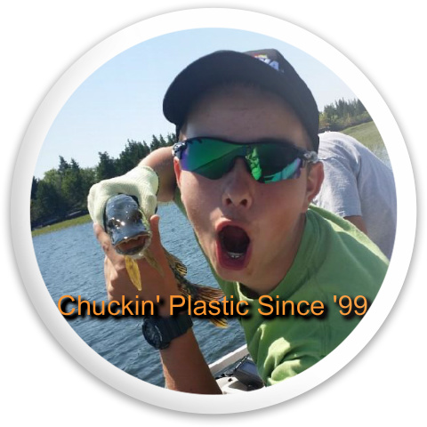 Design 131617 Disc Golf and Ultimate Discs
