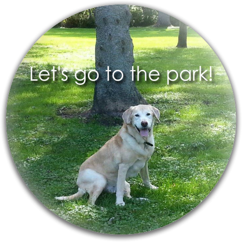 Design 132045 Disc Golf and Ultimate Discs