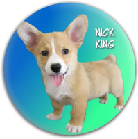 Nicks xmas gift!