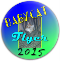 Design 133516 Disc Golf and Ultimate Discs Image