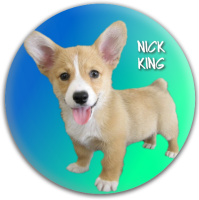 Nick&amp;#039;s Christmas Gift!