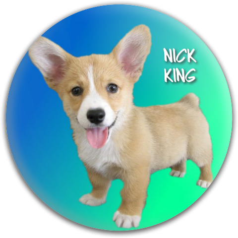 Design 133641 Disc Golf and Ultimate Discs