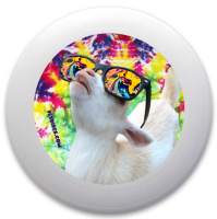 Design 139715 Disc Golf and Ultimate Discs Image