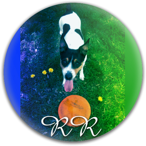 Design 140464 Disc Golf and Ultimate Discs