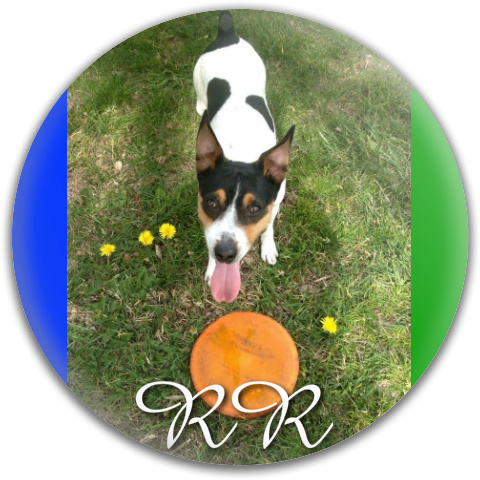 Design 140427 Disc Golf and Ultimate Discs