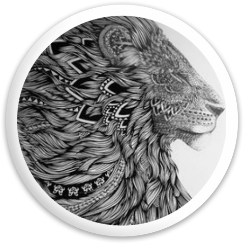 Design 142119 Disc Golf and Ultimate Discs