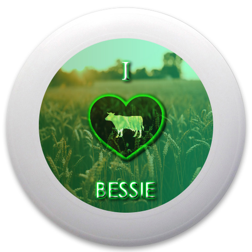 Design 143679 Disc Golf and Ultimate Discs