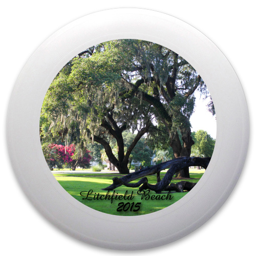 Design 133914 Disc Golf and Ultimate Discs
