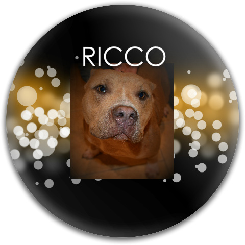 Design 146032 Disc Golf and Ultimate Discs