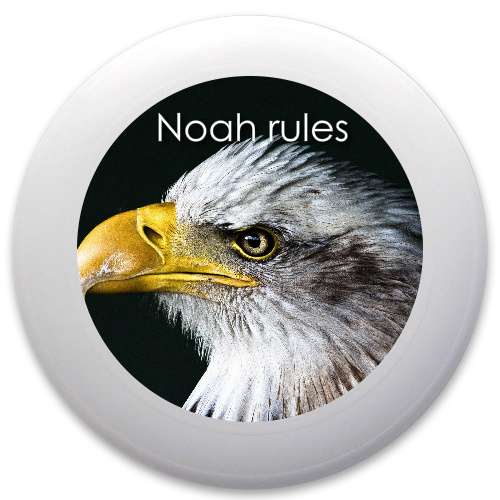 Design 135848 Disc Golf and Ultimate Discs