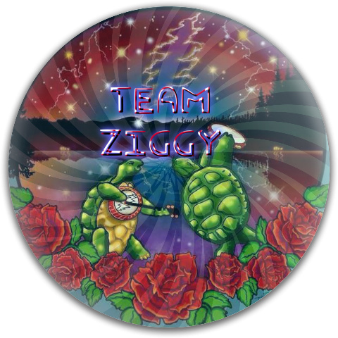 Design 138297 Disc Golf and Ultimate Discs
