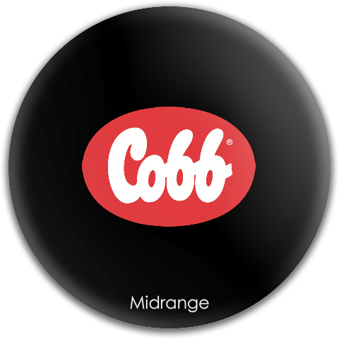 Design 63771 Disc Golf and Ultimate Discs