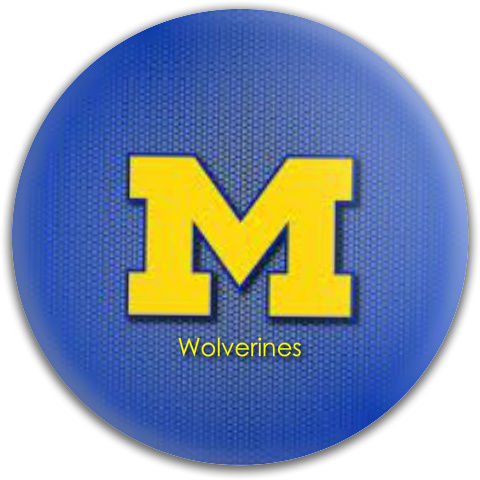 Design 63761 Disc Golf and Ultimate Discs