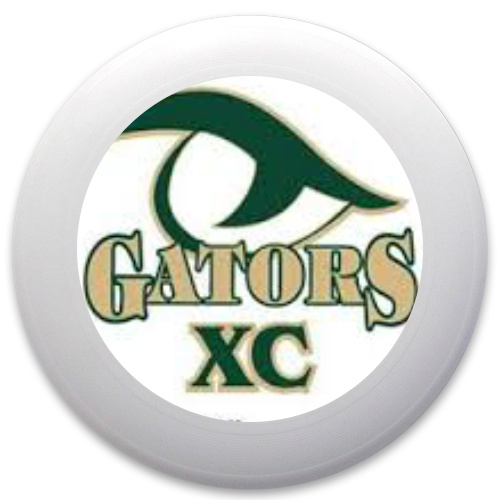 Design 65200 Disc Golf and Ultimate Discs