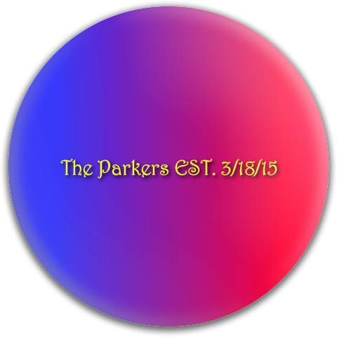 Design 65625 Disc Golf and Ultimate Discs