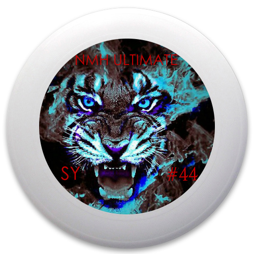 Design 71331 Disc Golf and Ultimate Discs