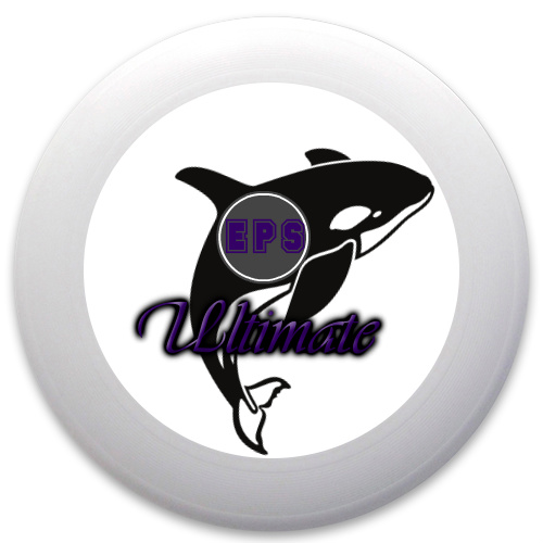 Design 73239 Disc Golf and Ultimate Discs