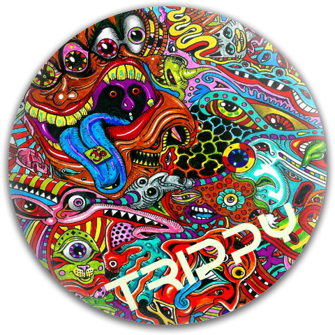 Design 68849 Disc Golf and Ultimate Discs