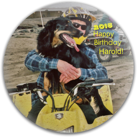 Design 75129 Disc Golf and Ultimate Discs