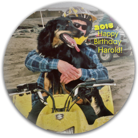 Design 75131 Disc Golf and Ultimate Discs