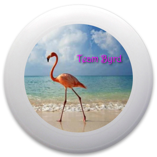 Design 75230 Disc Golf and Ultimate Discs