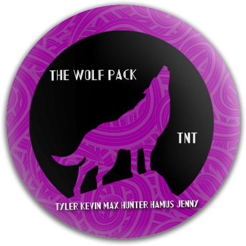 Design 76337 Disc Golf and Ultimate Discs