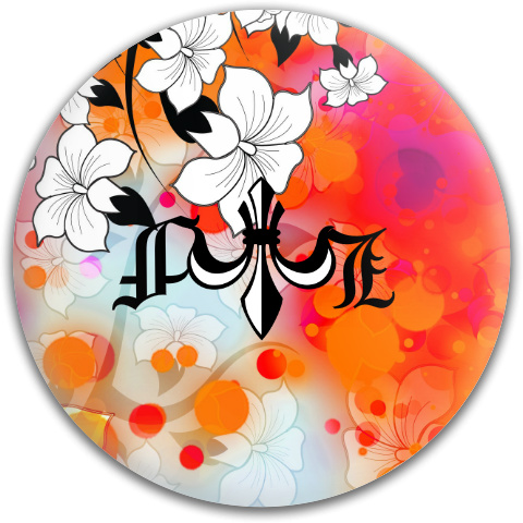 Design 81597 Disc Golf and Ultimate Discs
