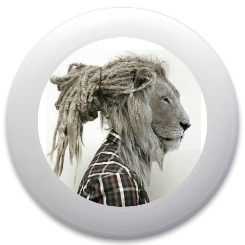 Design 81633 Disc Golf and Ultimate Discs