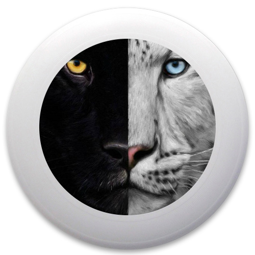 Design 81822 Disc Golf and Ultimate Discs