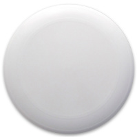 our first disc!