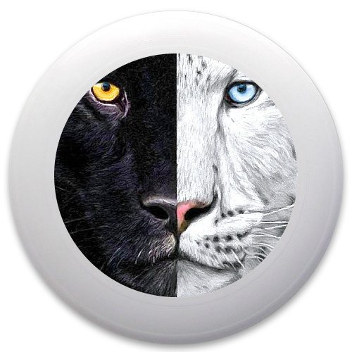 Design 81831 Disc Golf and Ultimate Discs