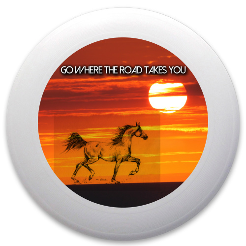Design 84275 Disc Golf and Ultimate Discs