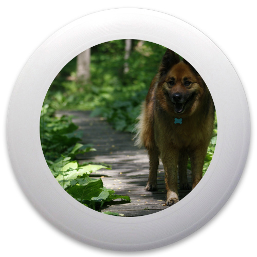 Design 77314 Disc Golf and Ultimate Discs