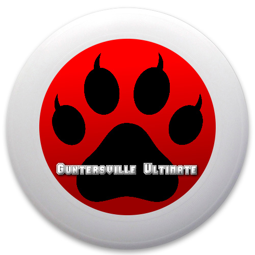 Design 78243 Disc Golf and Ultimate Discs