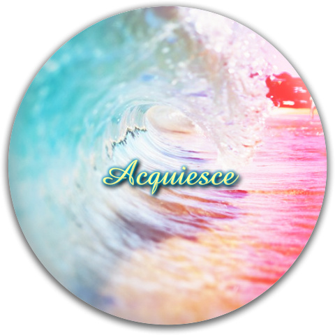 Design 78477 Disc Golf and Ultimate Discs