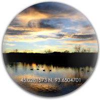 Design 87652 Disc Golf and Ultimate Discs Image