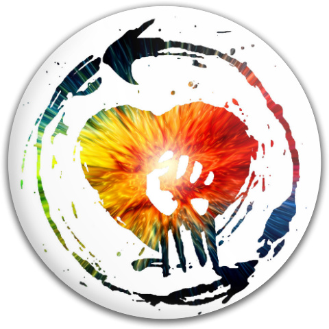 Design 88661 Disc Golf and Ultimate Discs