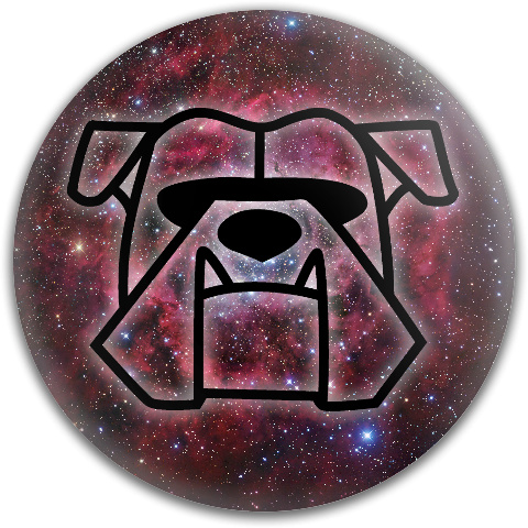 Design 95156 Disc Golf and Ultimate Discs