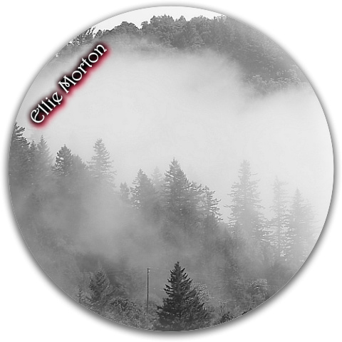 Design 95746 Disc Golf and Ultimate Discs