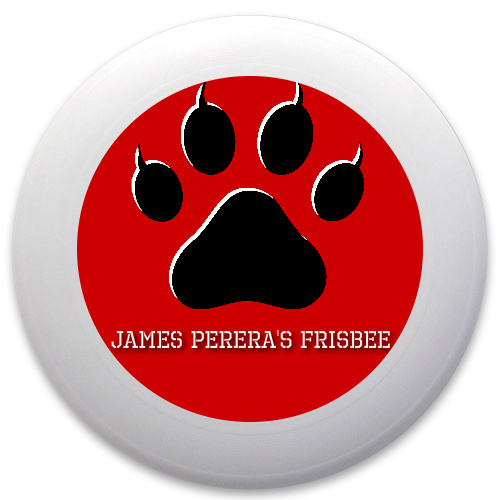 Design 95862 Disc Golf and Ultimate Discs