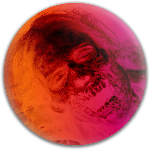 Design 92109 Disc Golf and Ultimate Discs