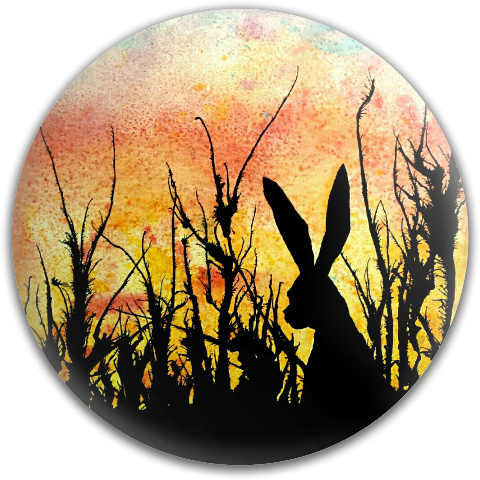 Design 97813 Disc Golf and Ultimate Discs