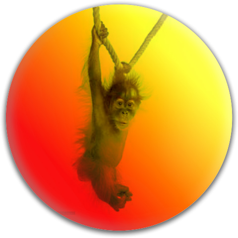 Design 92350 Disc Golf and Ultimate Discs