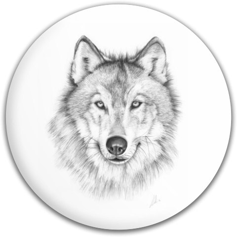 Design 93532 Disc Golf and Ultimate Discs