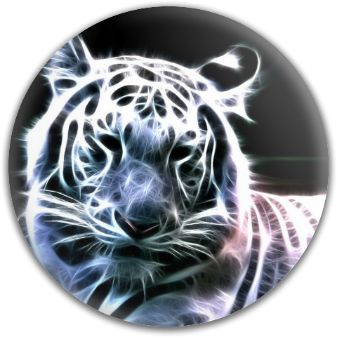 Design 101432 Disc Golf and Ultimate Discs